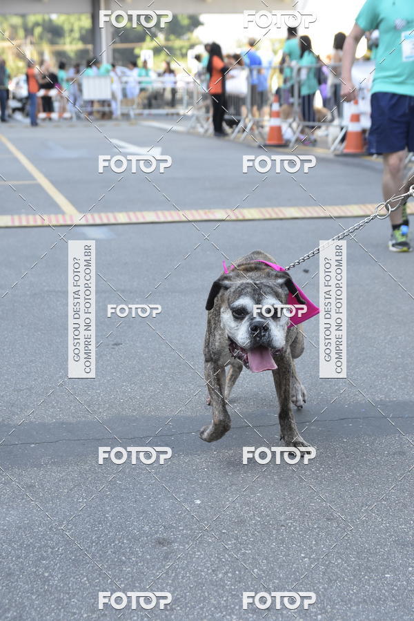 Buy your photos of the event2 Pet Run Shopping Eldorado  on Fotop