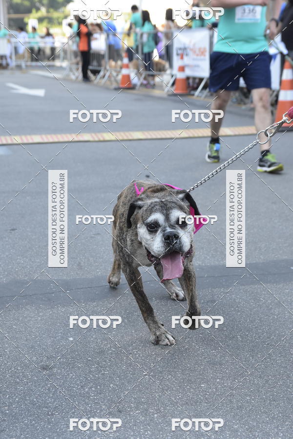 Buy your photos of the event2 Pet Run Shopping Eldorado  on Fotop
