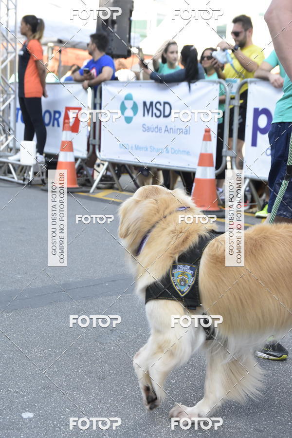 Buy your photos of the event2 Pet Run Shopping Eldorado  on Fotop