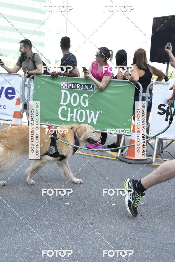Buy your photos of the event2 Pet Run Shopping Eldorado  on Fotop