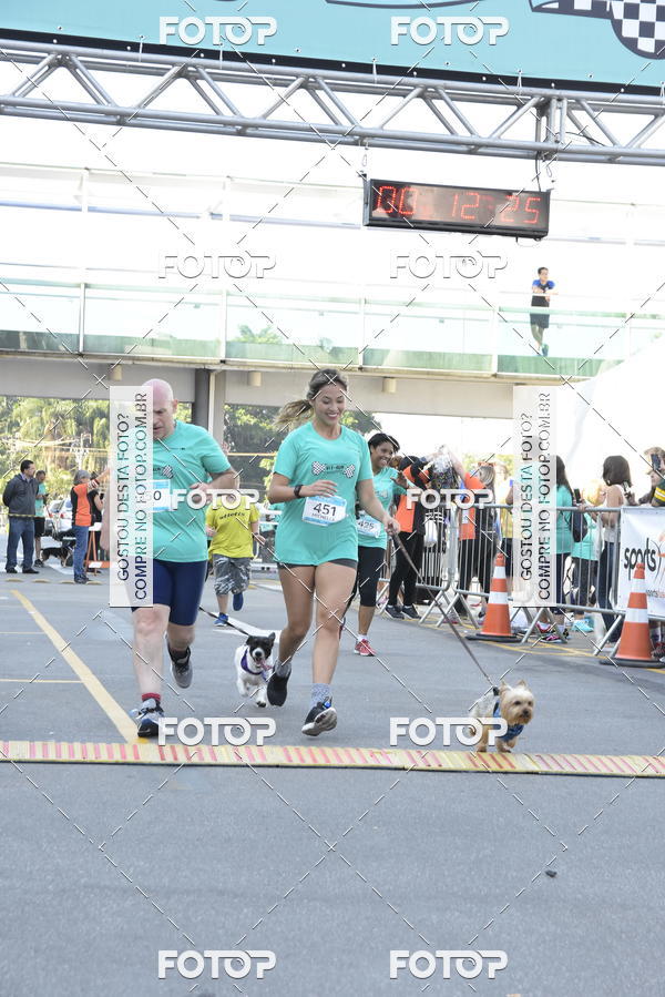Buy your photos of the event2 Pet Run Shopping Eldorado  on Fotop
