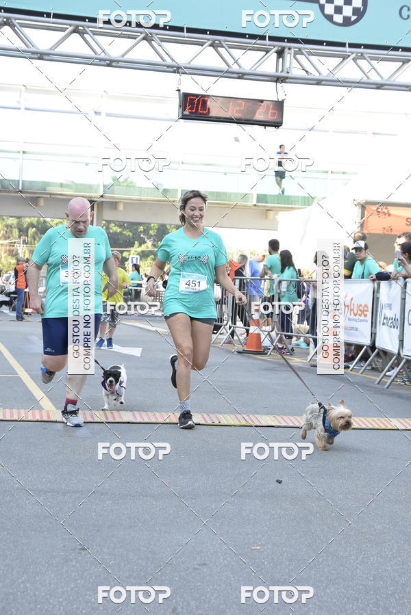Compra tus fotos del evento2� Pet Run Shopping Eldorado  En Fotop