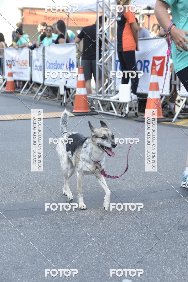 Compra tus fotos del evento2� Pet Run Shopping Eldorado  En Fotop