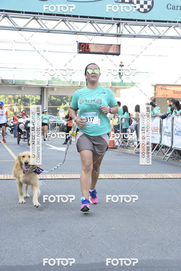 Compra tus fotos del evento2� Pet Run Shopping Eldorado  En Fotop