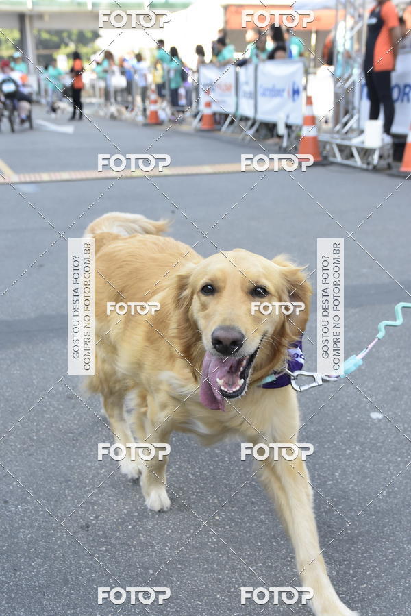 Compra tus fotos del evento2� Pet Run Shopping Eldorado  En Fotop