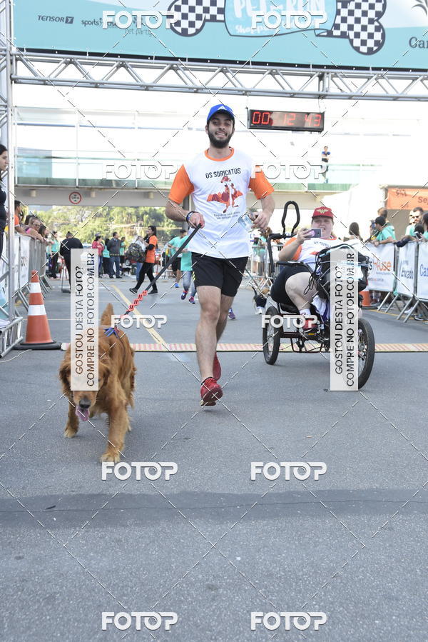 Compra tus fotos del evento2� Pet Run Shopping Eldorado  En Fotop