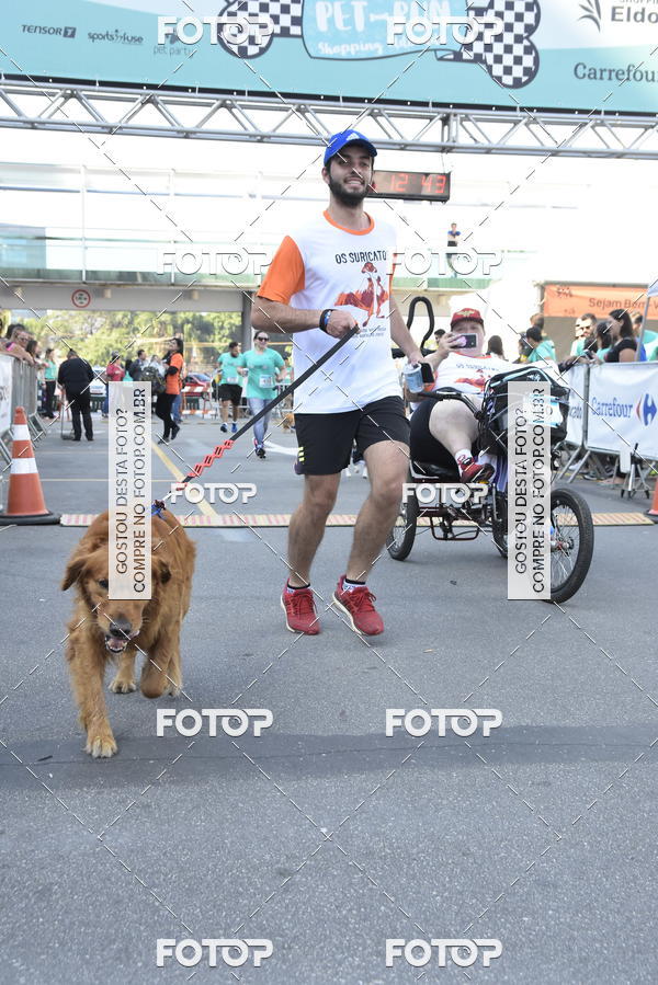 Compra tus fotos del evento2� Pet Run Shopping Eldorado  En Fotop
