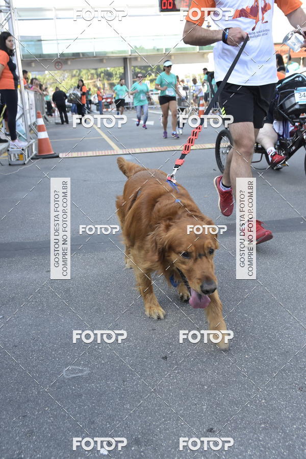 Compra tus fotos del evento2� Pet Run Shopping Eldorado  En Fotop