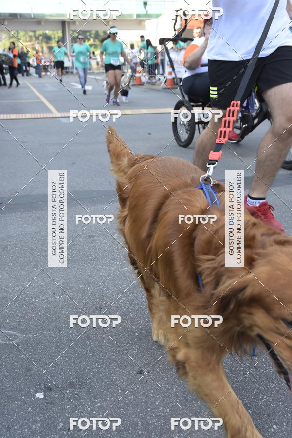 Compra tus fotos del evento2� Pet Run Shopping Eldorado  En Fotop