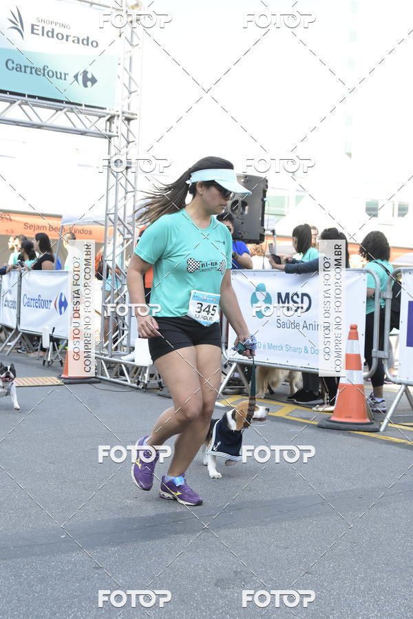 Buy your photos of the event2� Pet Run Shopping Eldorado  on Fotop