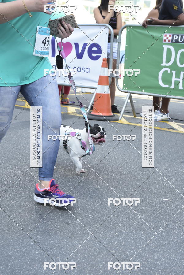 Buy your photos of the event2� Pet Run Shopping Eldorado  on Fotop