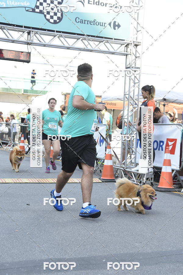 Buy your photos of the event2� Pet Run Shopping Eldorado  on Fotop