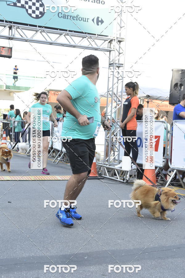 Buy your photos of the event2� Pet Run Shopping Eldorado  on Fotop