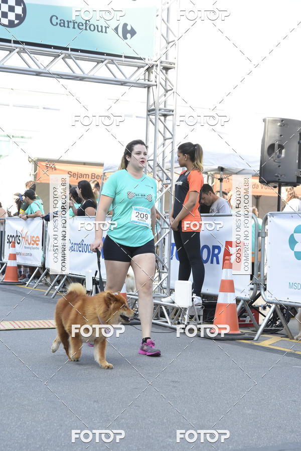 Buy your photos of the event2� Pet Run Shopping Eldorado  on Fotop
