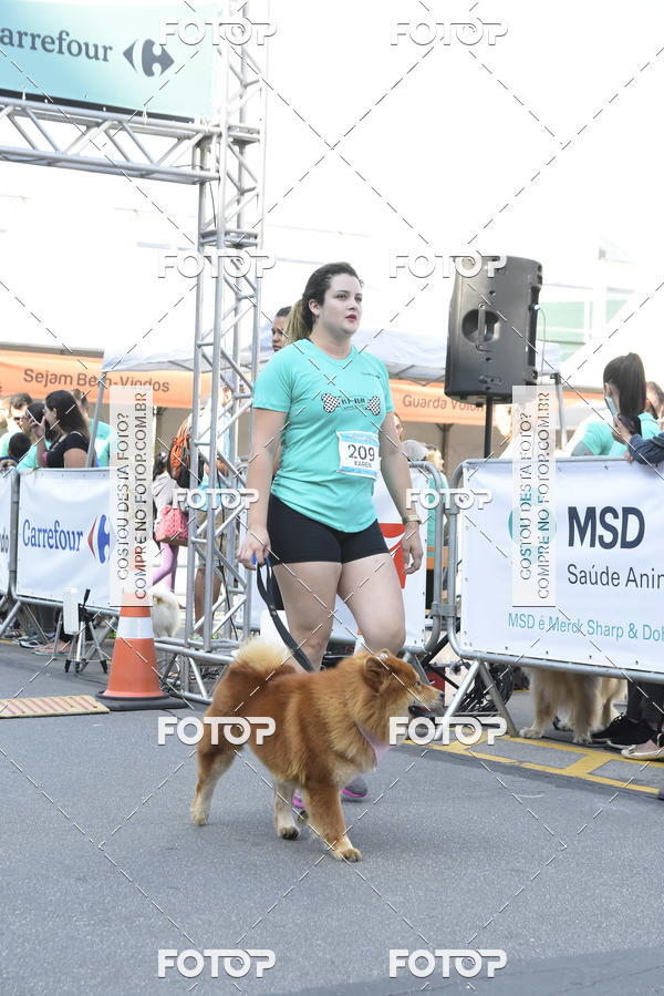 Buy your photos of the event2� Pet Run Shopping Eldorado  on Fotop