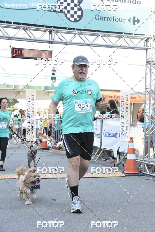 Buy your photos of the event2� Pet Run Shopping Eldorado  on Fotop