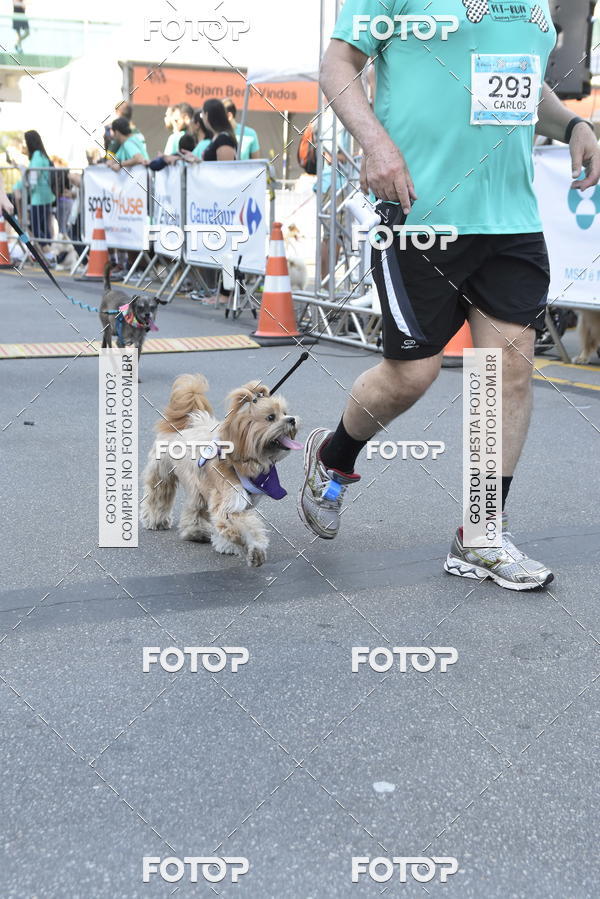 Buy your photos of the event2� Pet Run Shopping Eldorado  on Fotop