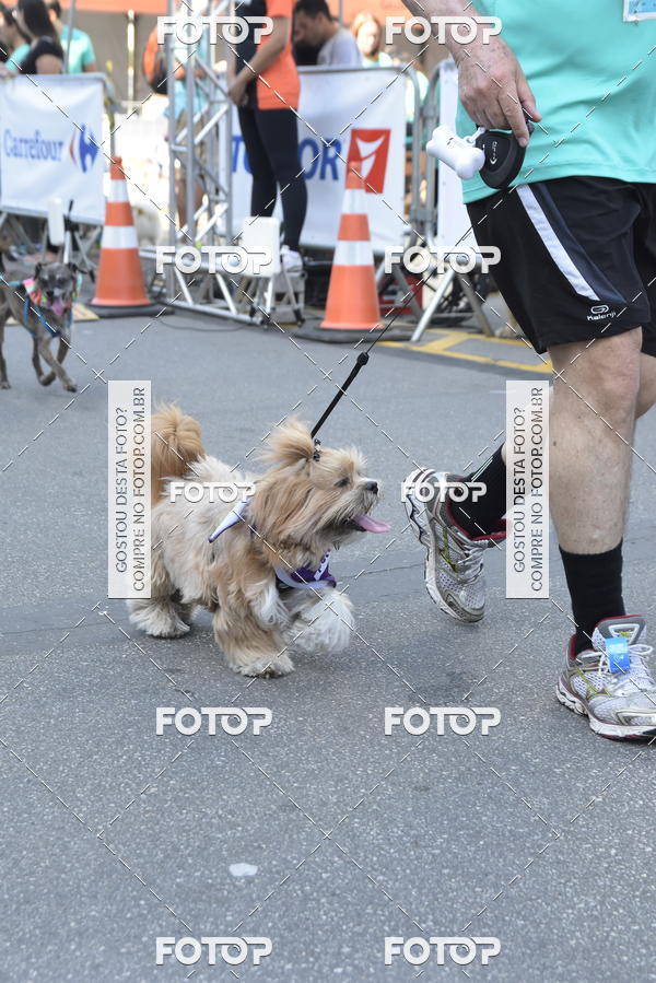 Buy your photos of the event2� Pet Run Shopping Eldorado  on Fotop