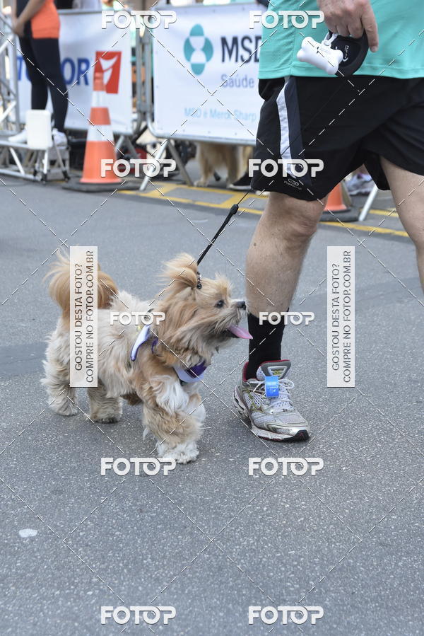 Buy your photos of the event2� Pet Run Shopping Eldorado  on Fotop