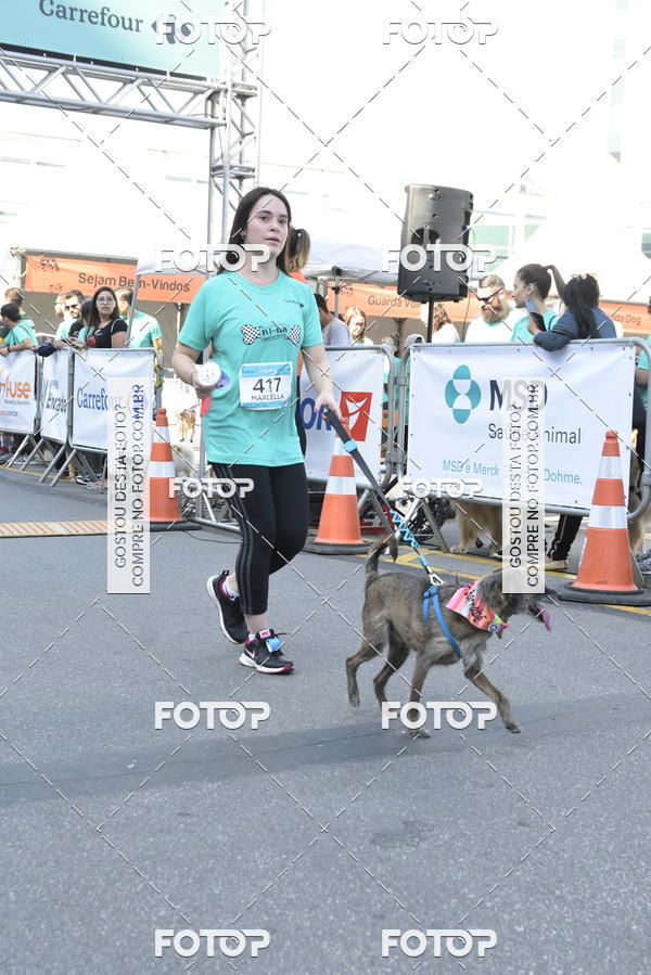 Buy your photos of the event2� Pet Run Shopping Eldorado  on Fotop