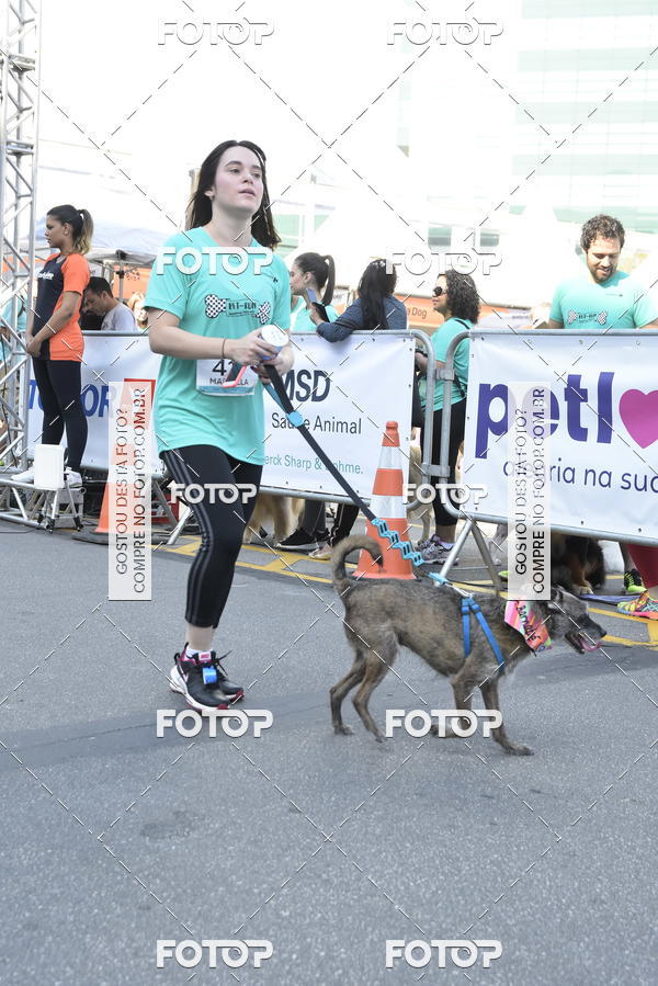 Buy your photos of the event2� Pet Run Shopping Eldorado  on Fotop