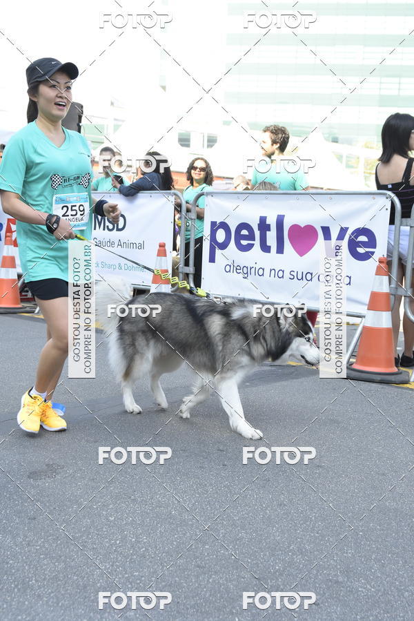 Buy your photos of the event2� Pet Run Shopping Eldorado  on Fotop