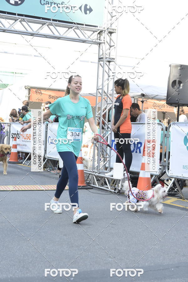 Buy your photos of the event2� Pet Run Shopping Eldorado  on Fotop