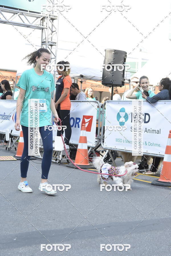 Buy your photos of the event2� Pet Run Shopping Eldorado  on Fotop