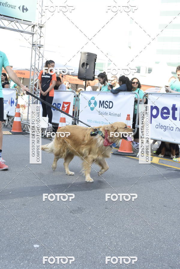 Buy your photos of the event2� Pet Run Shopping Eldorado  on Fotop