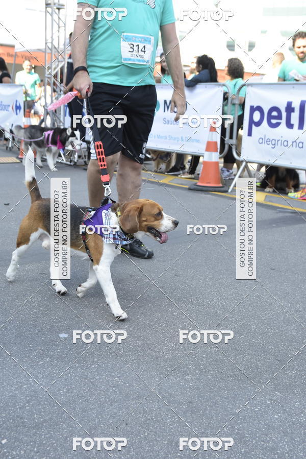 Buy your photos of the event2� Pet Run Shopping Eldorado  on Fotop