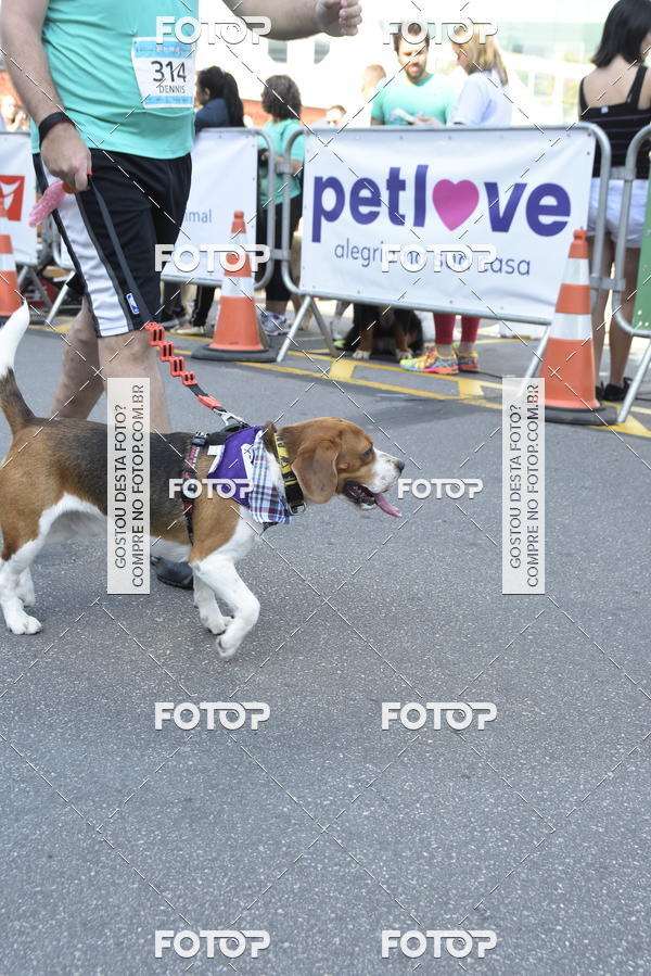 Buy your photos of the event2� Pet Run Shopping Eldorado  on Fotop