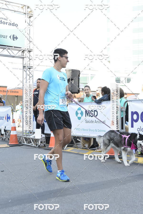 Buy your photos of the event2� Pet Run Shopping Eldorado  on Fotop