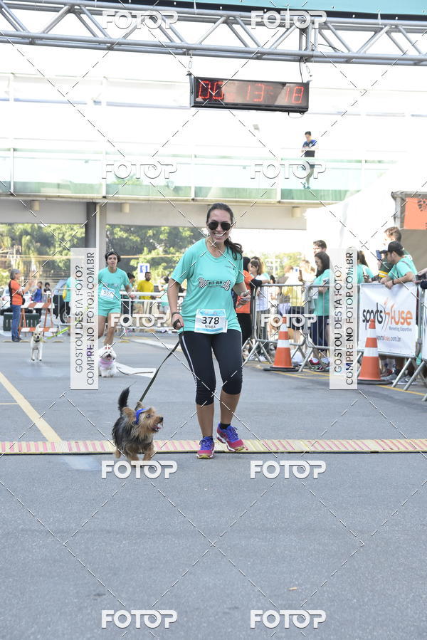 Buy your photos of the event2� Pet Run Shopping Eldorado  on Fotop