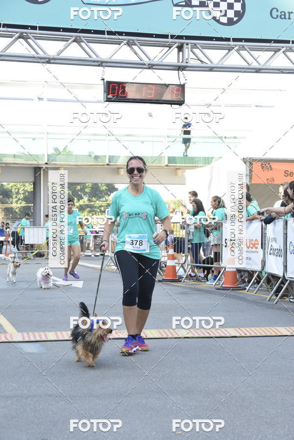 Buy your photos of the event2� Pet Run Shopping Eldorado  on Fotop