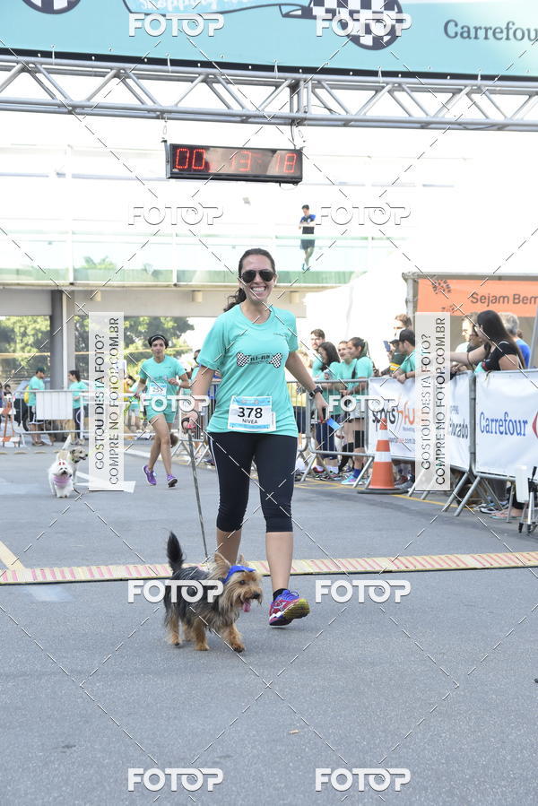 Buy your photos of the event2� Pet Run Shopping Eldorado  on Fotop