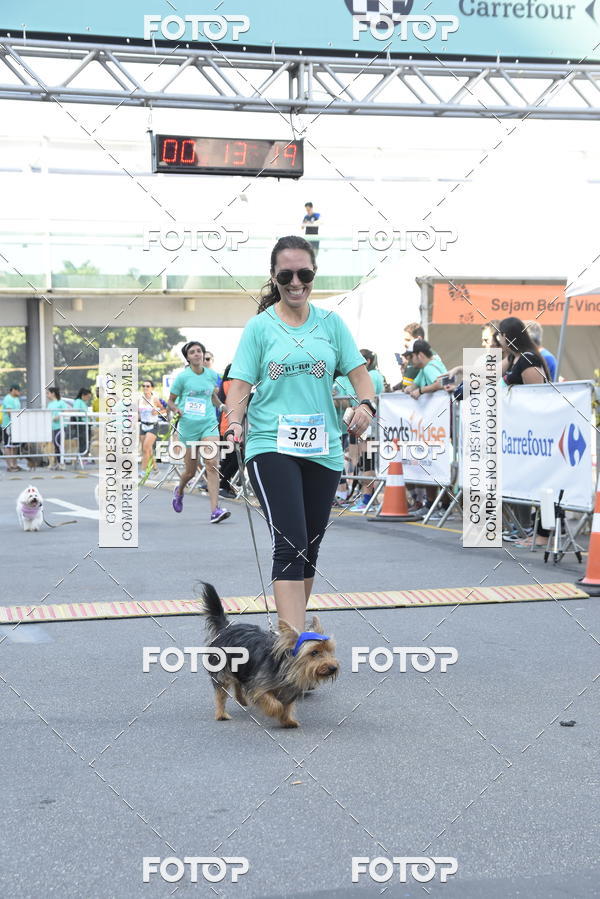 Buy your photos of the event2� Pet Run Shopping Eldorado  on Fotop