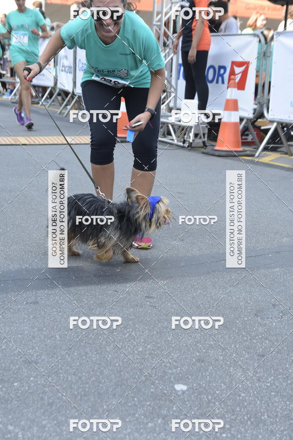 Buy your photos of the event2� Pet Run Shopping Eldorado  on Fotop