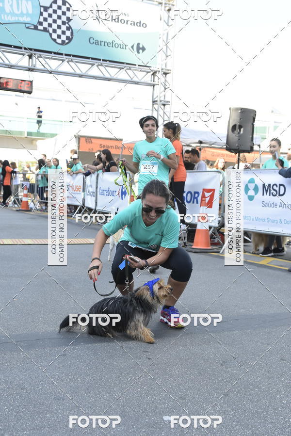 Buy your photos of the event2� Pet Run Shopping Eldorado  on Fotop