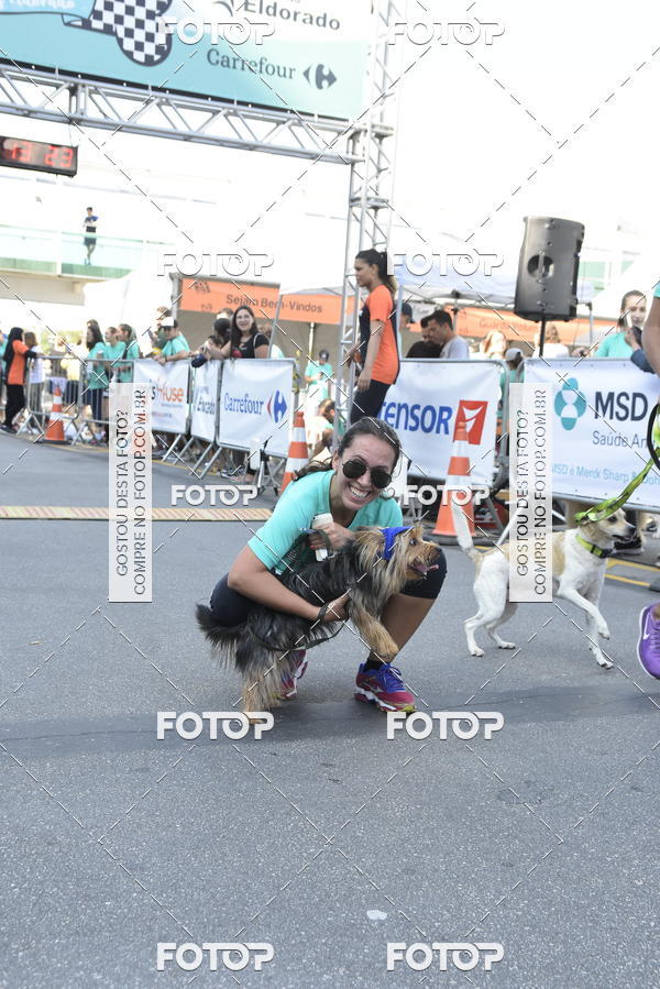 Buy your photos of the event2� Pet Run Shopping Eldorado  on Fotop