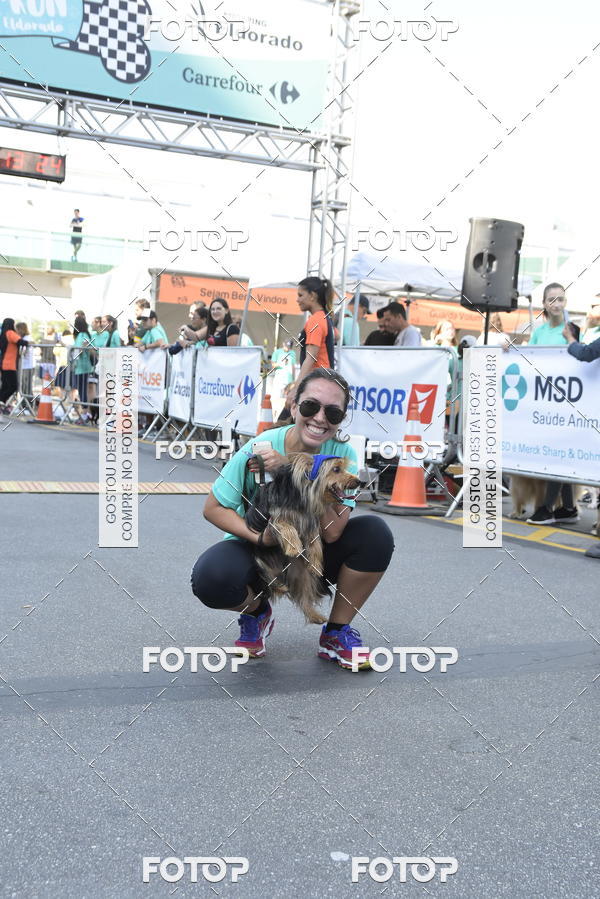 Buy your photos of the event2� Pet Run Shopping Eldorado  on Fotop