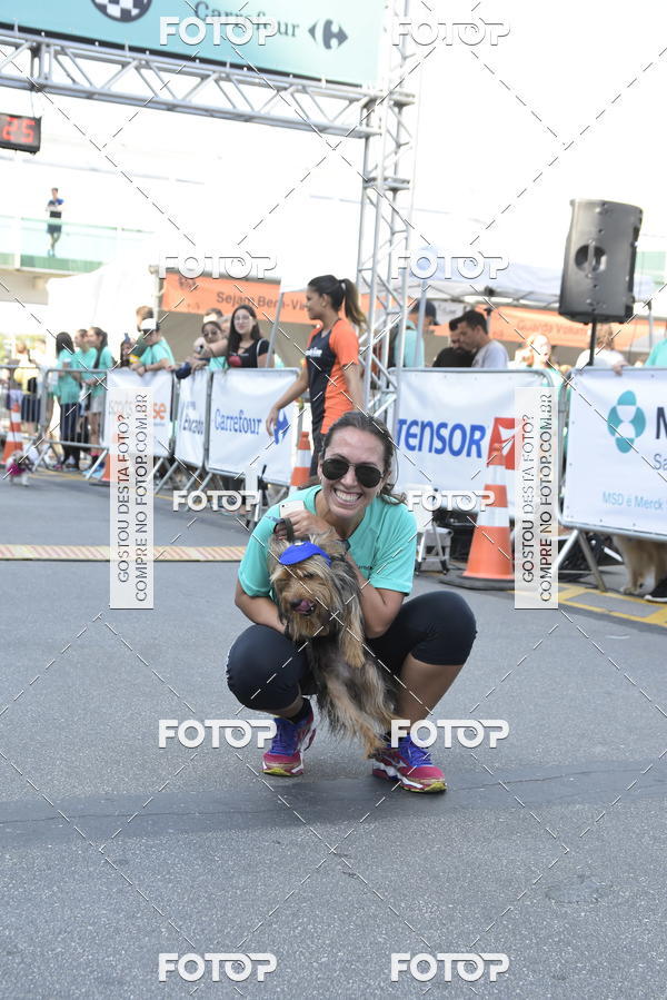 Buy your photos of the event2� Pet Run Shopping Eldorado  on Fotop