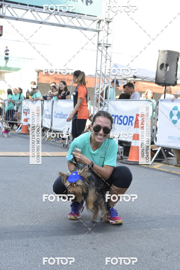 Buy your photos of the event2� Pet Run Shopping Eldorado  on Fotop