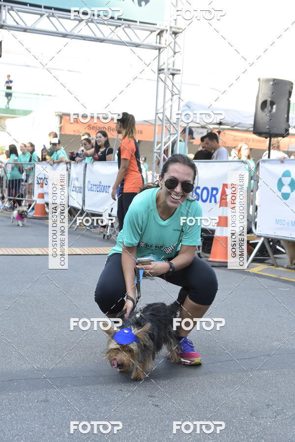 Buy your photos of the event2� Pet Run Shopping Eldorado  on Fotop