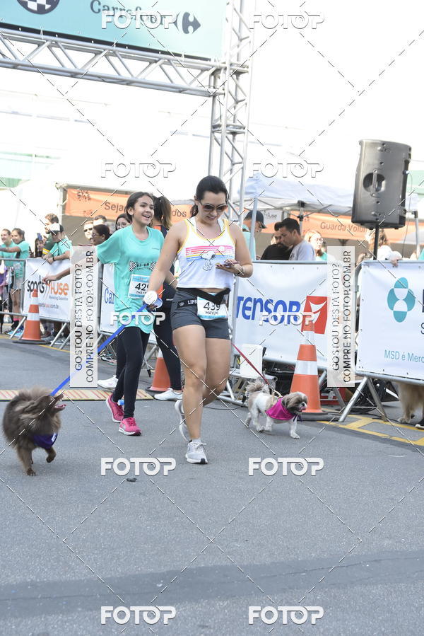 Buy your photos of the event2� Pet Run Shopping Eldorado  on Fotop