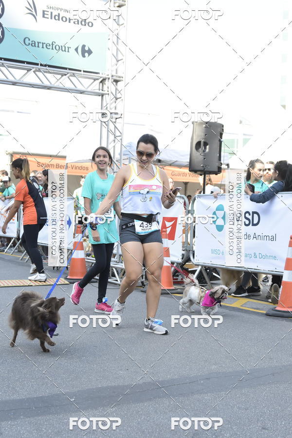 Buy your photos of the event2� Pet Run Shopping Eldorado  on Fotop