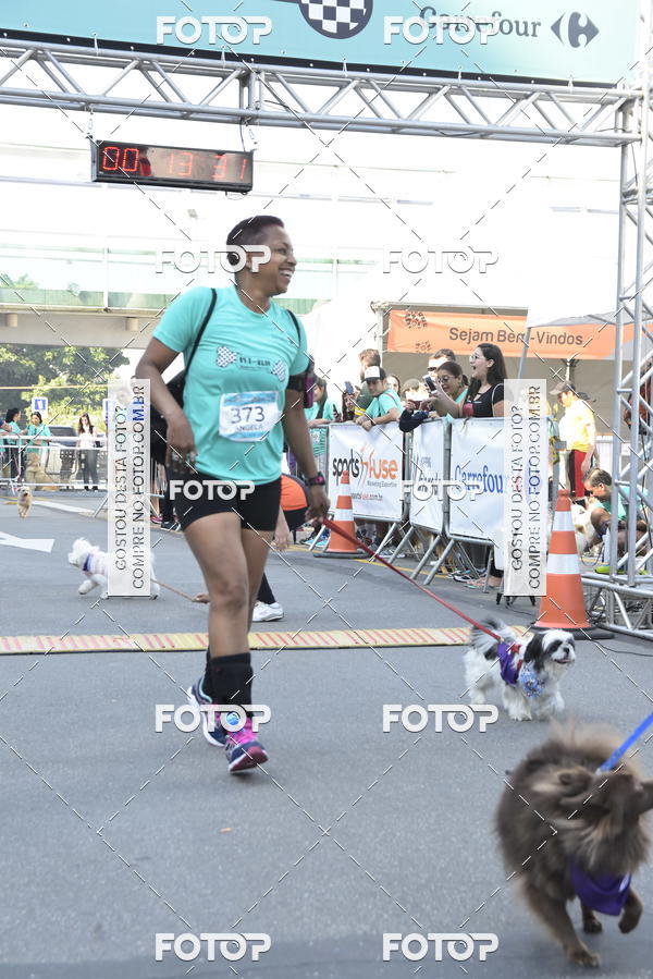 Buy your photos of the event2� Pet Run Shopping Eldorado  on Fotop