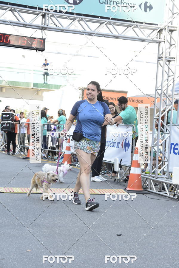 Buy your photos of the event2� Pet Run Shopping Eldorado  on Fotop