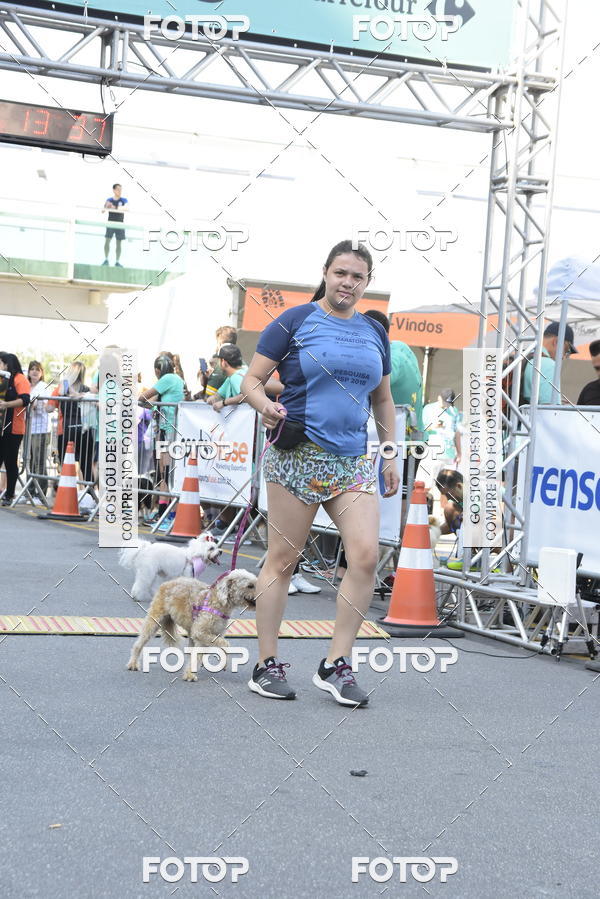 Buy your photos of the event2� Pet Run Shopping Eldorado  on Fotop