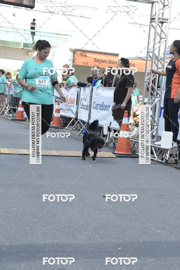 Buy your photos of the event2� Pet Run Shopping Eldorado  on Fotop