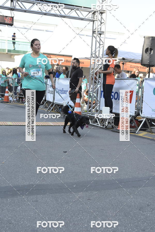 Buy your photos of the event2� Pet Run Shopping Eldorado  on Fotop